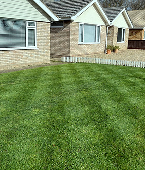 harewood lawn care ixworth bury st edmunds.jpg