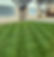 harewood lawn care ixworth bury st edmunds.jpg