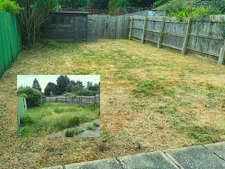 Reclaim Your Outdoor Space with Expert Garden Clearance in Bury St Edmunds, Newmarket & Surrounding Suffolk Villages