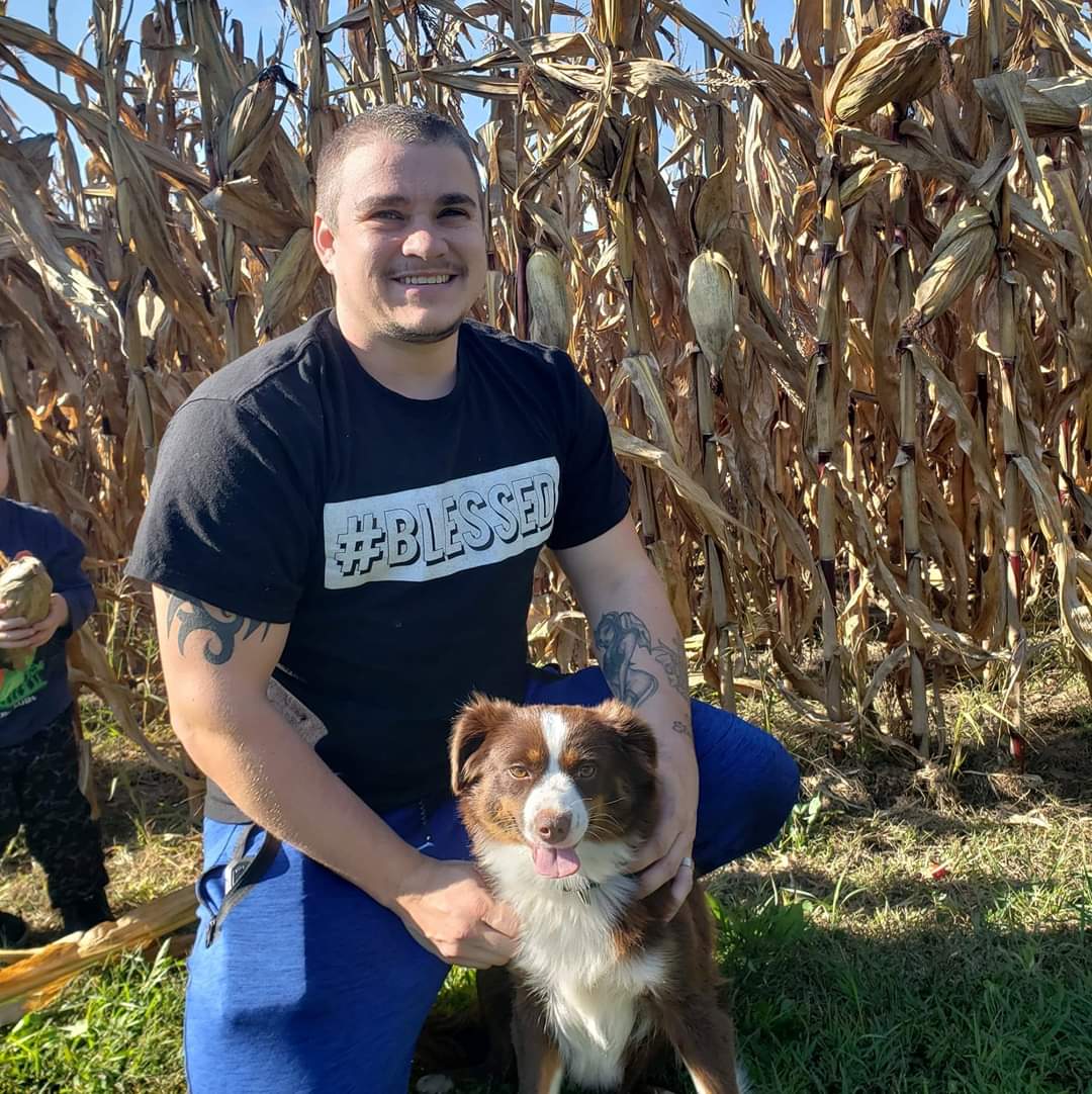 Writer: Isaiah & Ishmaels Aussiedoodle