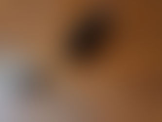 Exploring new spaces