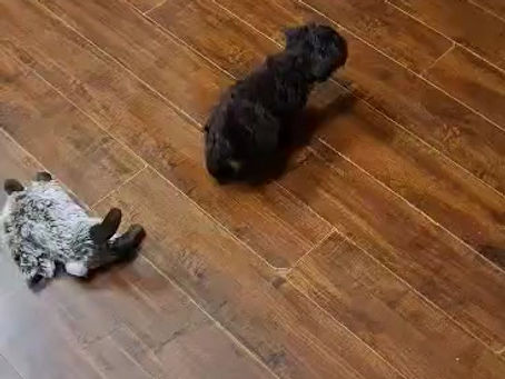 Exploring new spaces