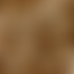 A fibra é essencial para a saúde?
