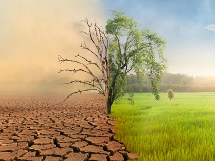 When the Planet Burns, the World Pays: The True Cost of Climate Change