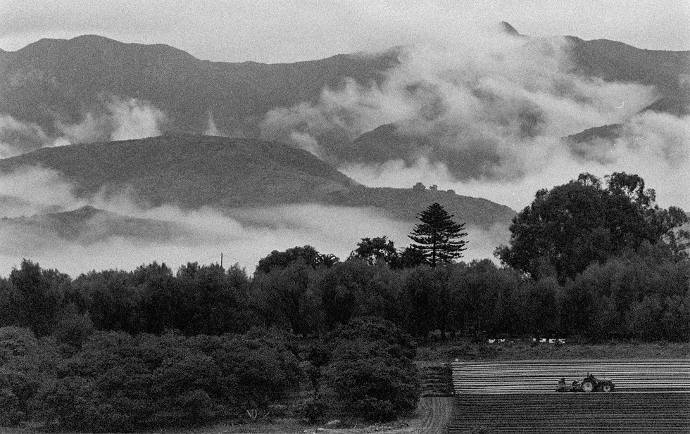 deroulet_-9257.jpg