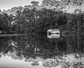 Caddo Lake Reflections by Sandy Gilbert
