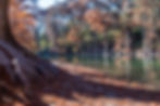 Color-Guadalupe River in the Fall-Sandy Gilbert.jpg
