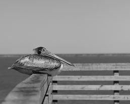 Taking a Rest by Christiane Menelas
