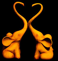 2 Elephants