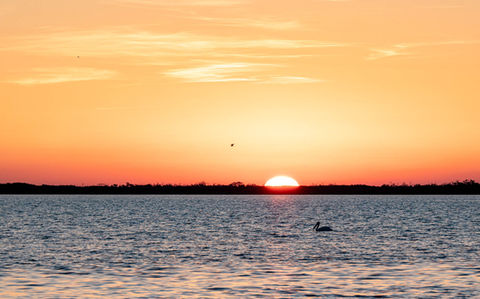 When Morning Comes by Barbara Beversdorf