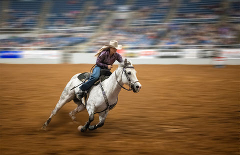 Full Throttle by Sharlana Dillard