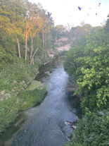 Down the Stream by Cindy Korzekwa