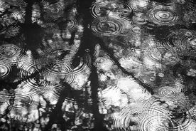 Rainy Day Reflections by Barry Armer