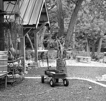 Downtown Wimberley by Becky Love