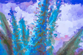 Cactus Reimagined by Sandy Gilbert
