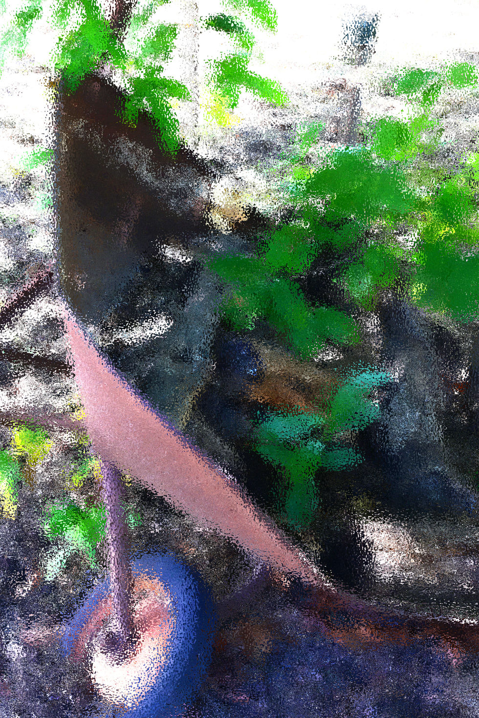 Overgrown Wheelbarrow by David Koester