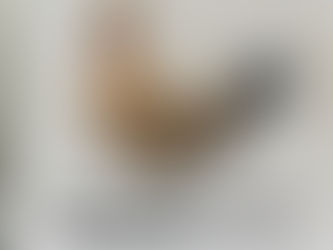 我们这里是新加坡