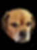 Untitled_Artwork (10).png