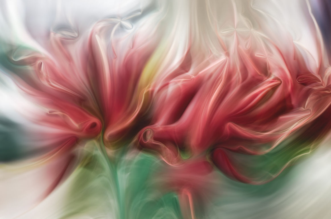Abstract-23C_0020.jpeg