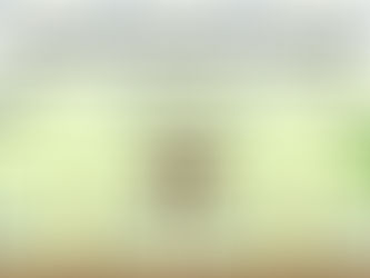 LANE Machinery-Powered Production: Realizing Environmental Benefits of Organic Fertilizer Production in Nigeria