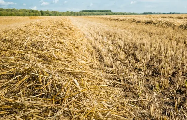 rice straw compost fertilizer line