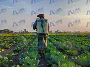 Reducing Waste and Labor Costs with a Precision Liquid Fertilizer Mixing Plant