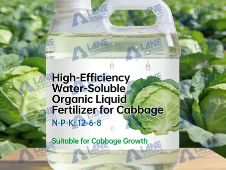 Manufacturing High-Efficiency Water-Soluble Organic Liquid Fertilizer for Cabbage