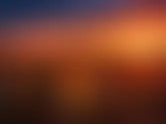 Liquid vs. Granular: Which Organic Nitrogen Fertilizer for Corn is Right For You?