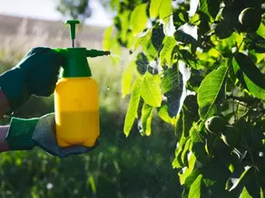 foliar spray liquid fertilizer