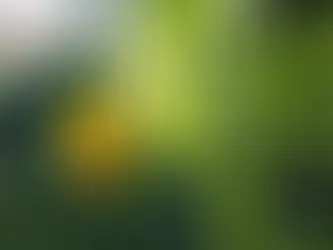 foliar spray liquid fertilizer
