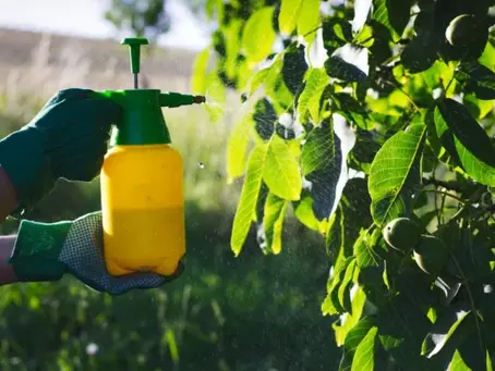 foliar spray liquid fertilizer
