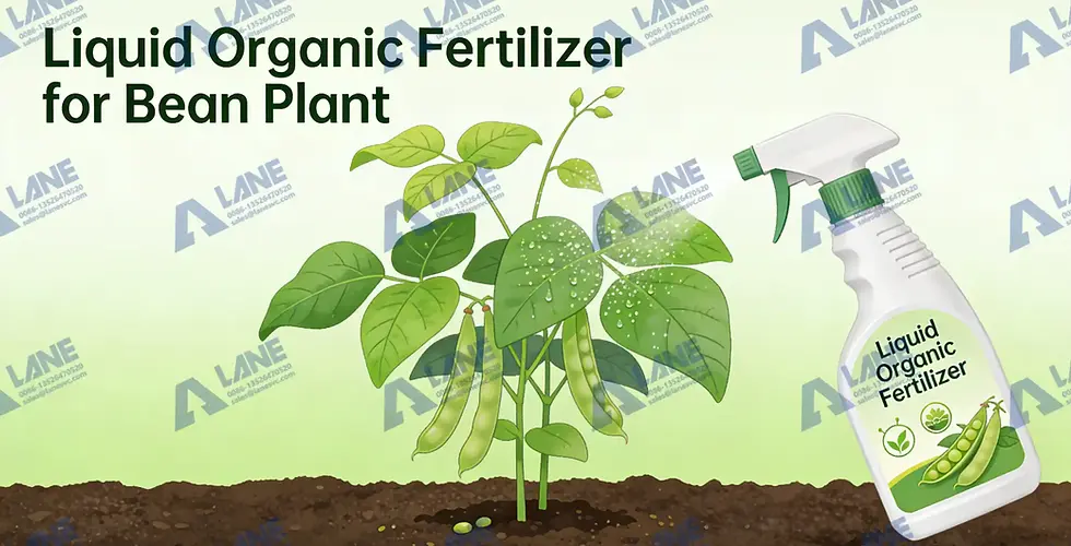 Investing in a Liquid organic fertilizer plant for bean for a Greener Tomorrow