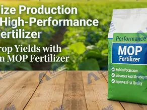 Maximize Production with a High-Performance MOP Fertilizer Manufacturing Line