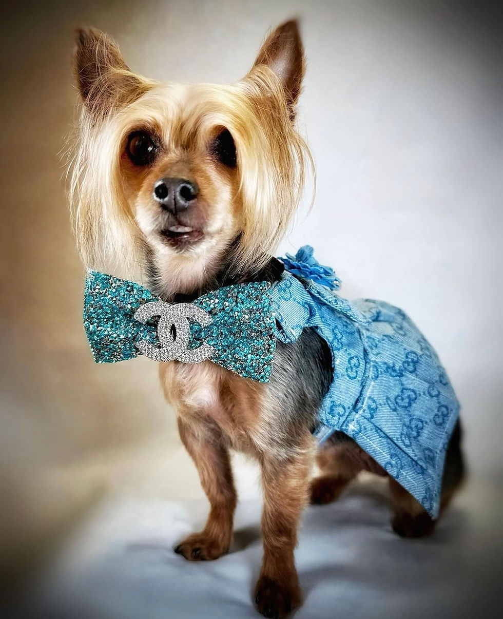 Thumbnail: Pucci Denim Harness Dress