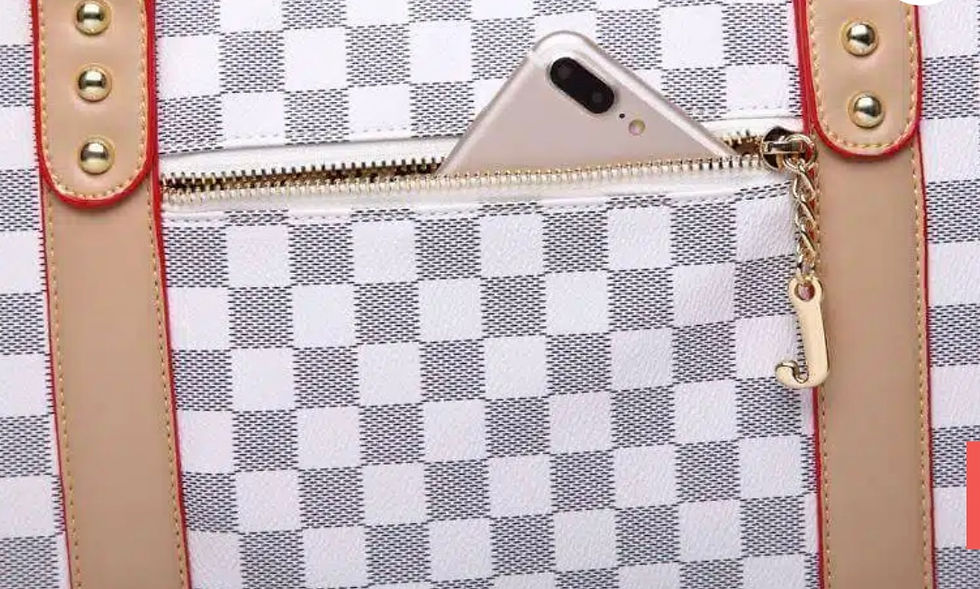 Thumbnail: Chewy Vuitton Checker Carrier Large 