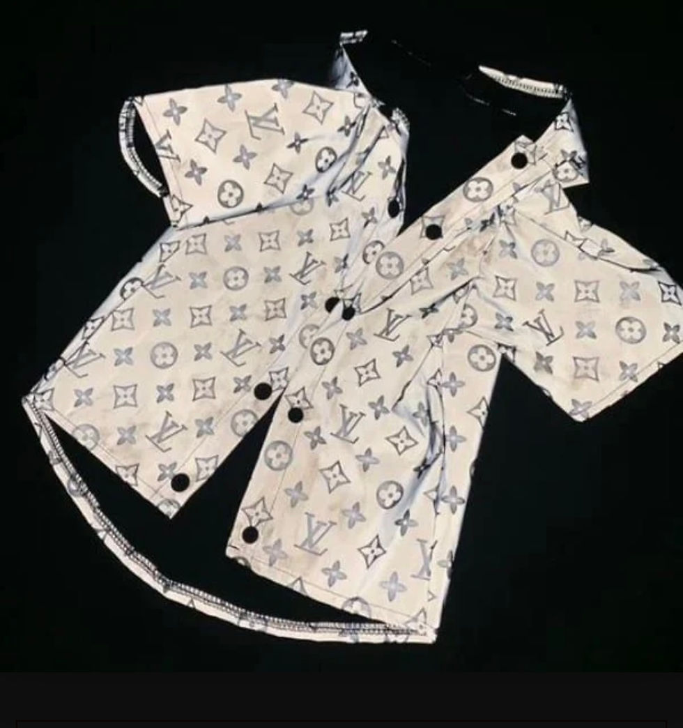 Thumbnail: Chewy Vuitton Reflective Raincoat with Hood