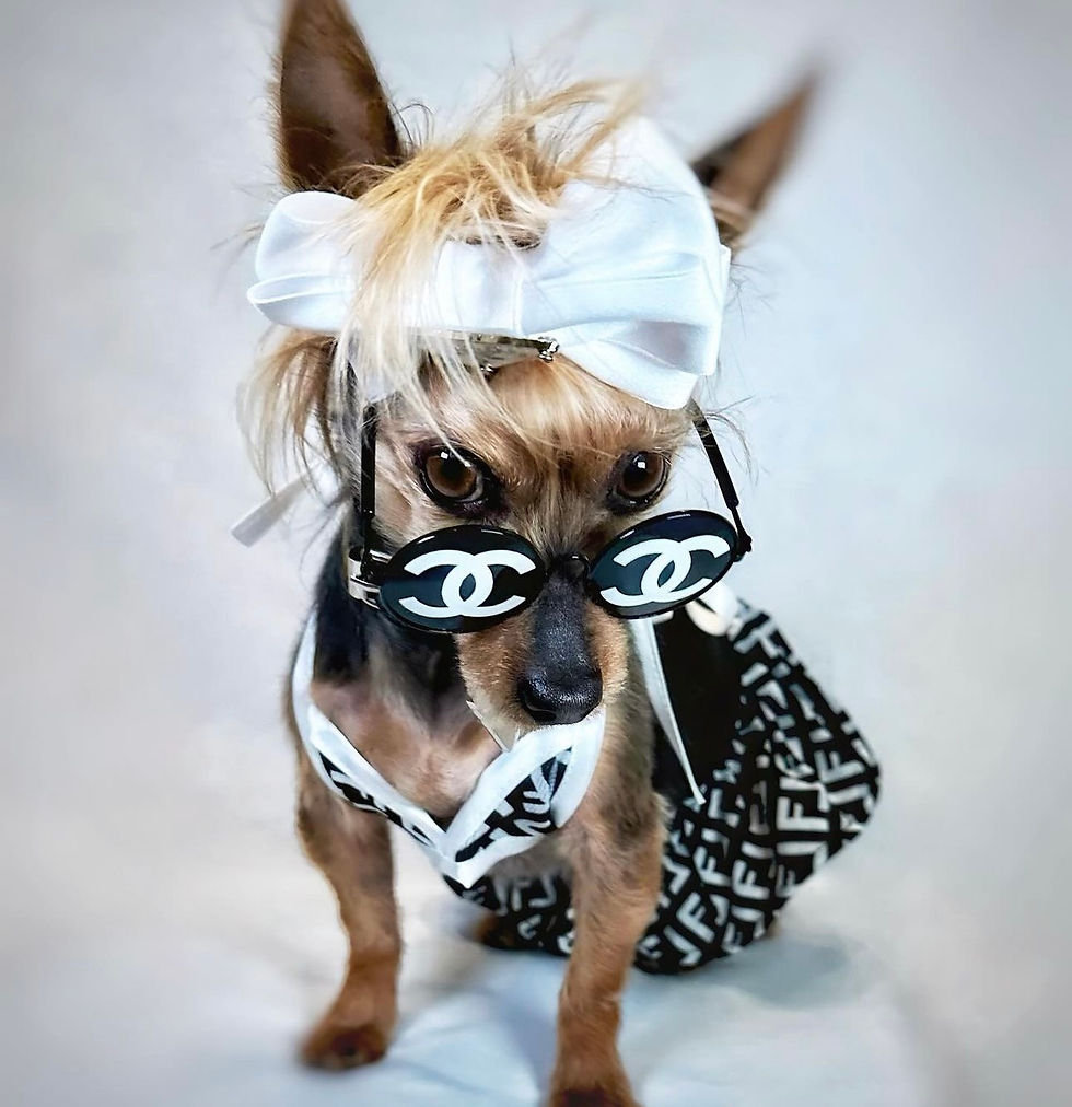 Thumbnail: Chewnel  Round Sunglasses 