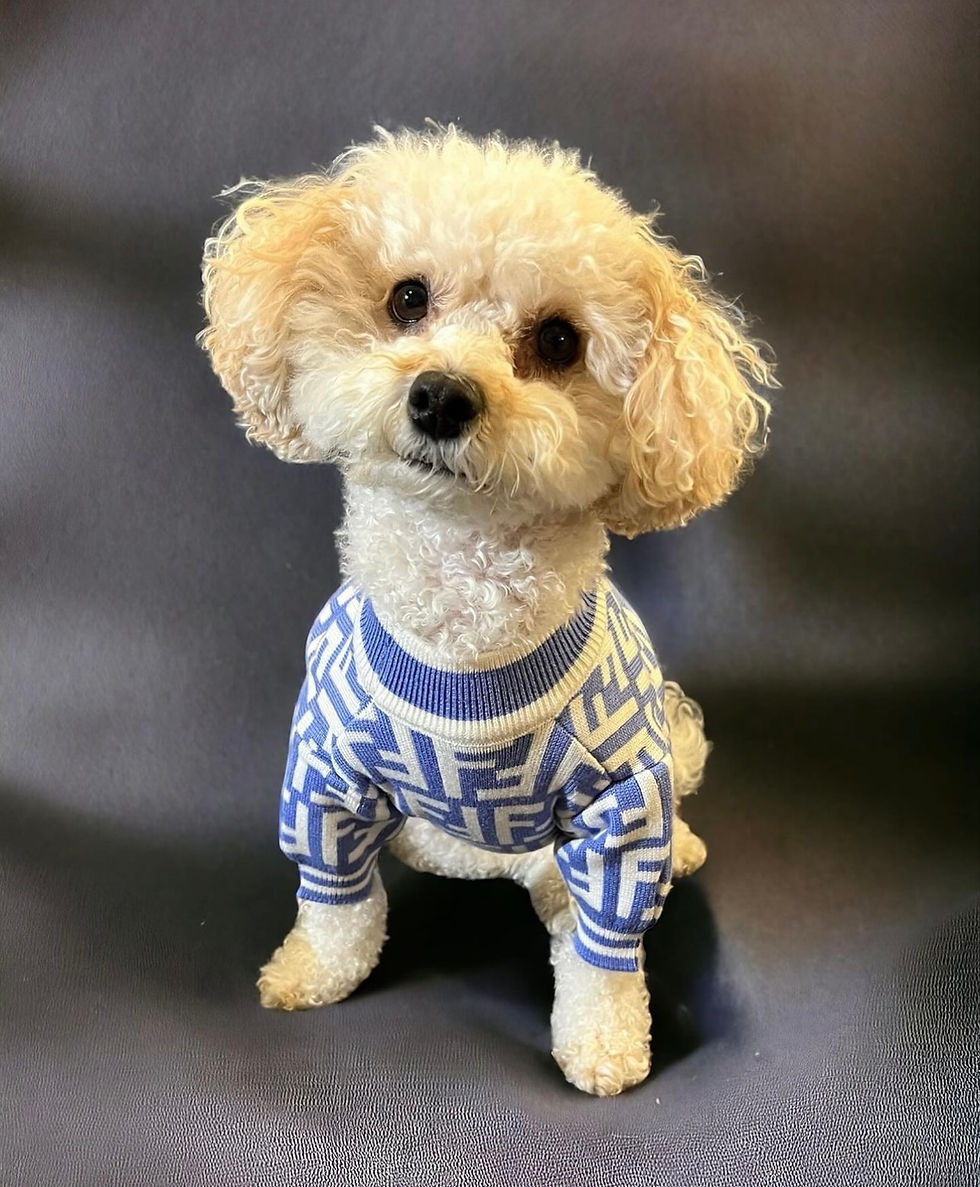 Thumbnail: Furendi Blue Monogram Sweater 