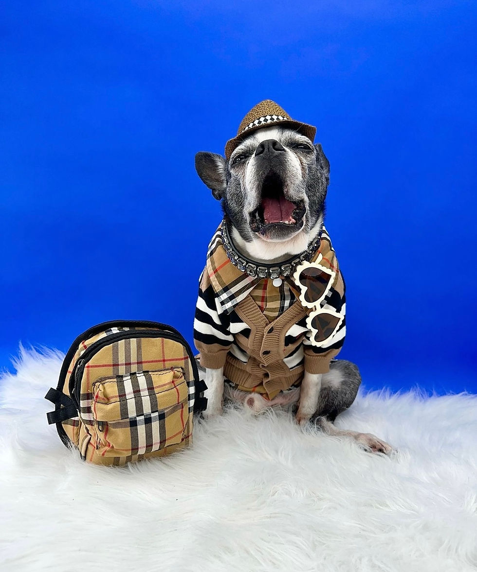 Thumbnail: Furberry Stripe Cardiagn 