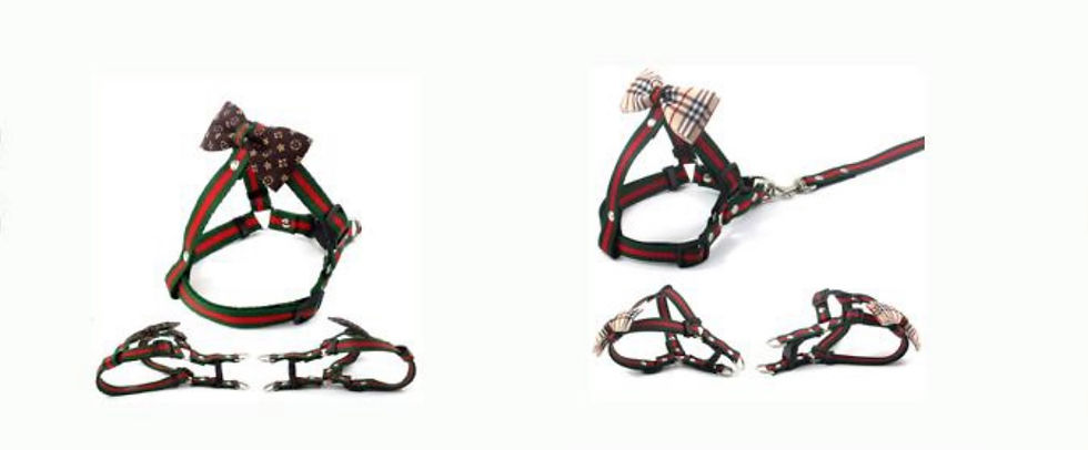 Thumbnail: Bow Tie Harness Leash Set 