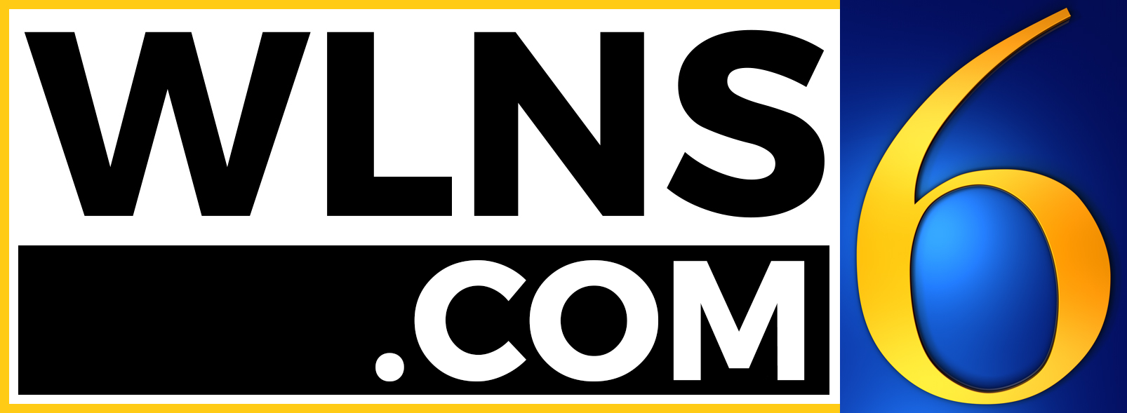 wlns_digitalbrand-min.webp