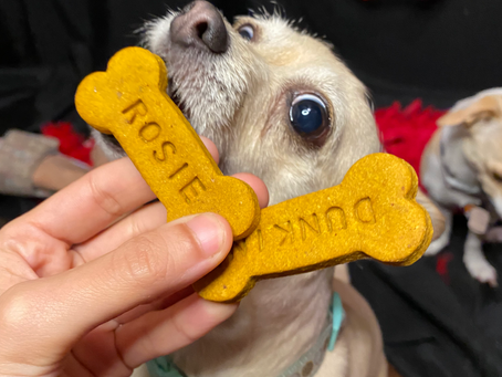 "I'm autistic and my eating disorder is my special interest. Now what?"