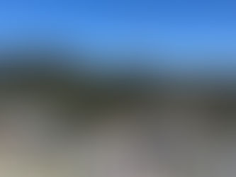 Expert Real Estate Team for Tailored Marketing Strategies