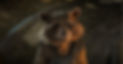 Maya_1.jpg