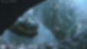 MUDBOX_1.jpg