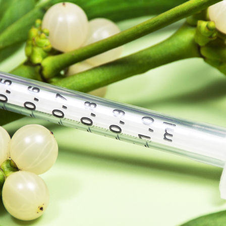 Mistletoe Therapy: Your Reliable Companion in Cancer