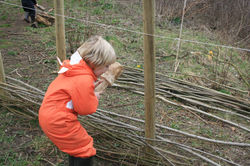 Forest School