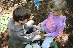 Forest School