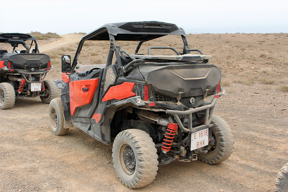 Can-Am Maverick Trail