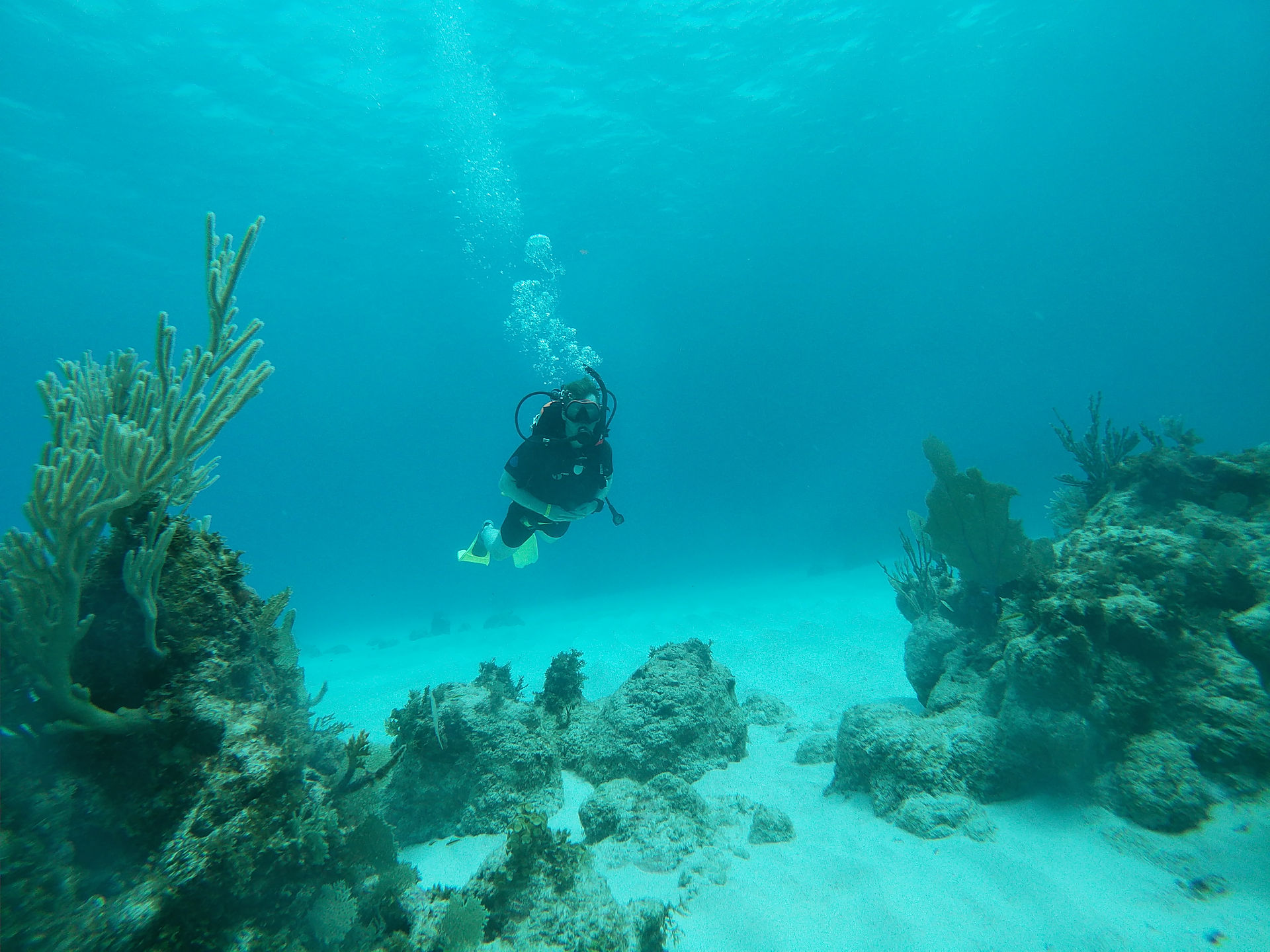 Scuba Diving
